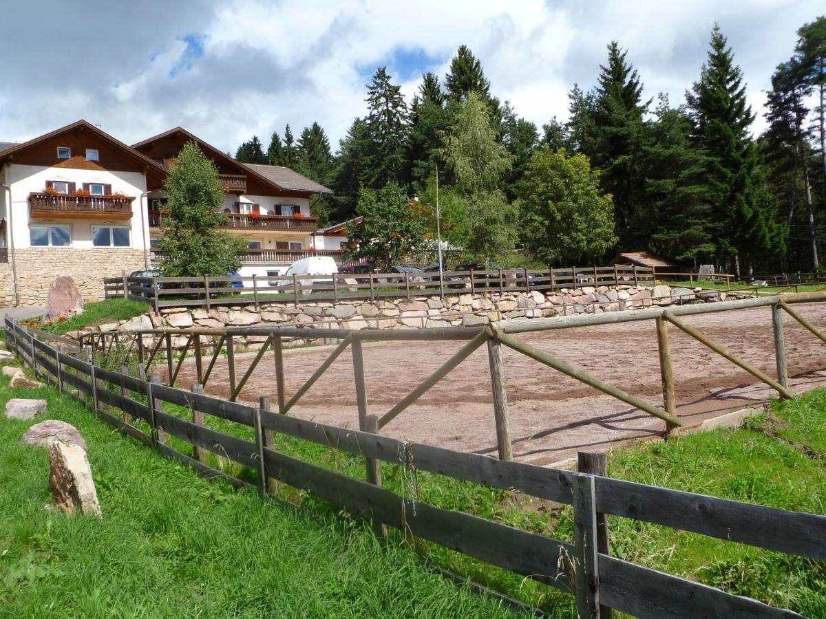 Hotel Reiterhof Edelweiss à San Genesio Atesino Extérieur photo